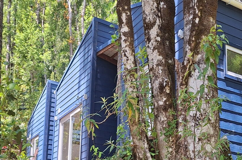 Condominium Huife Alta Pucon Chile