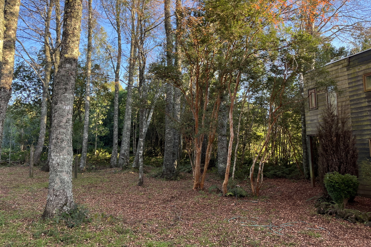 Casa Molco Pucón La Araucanía