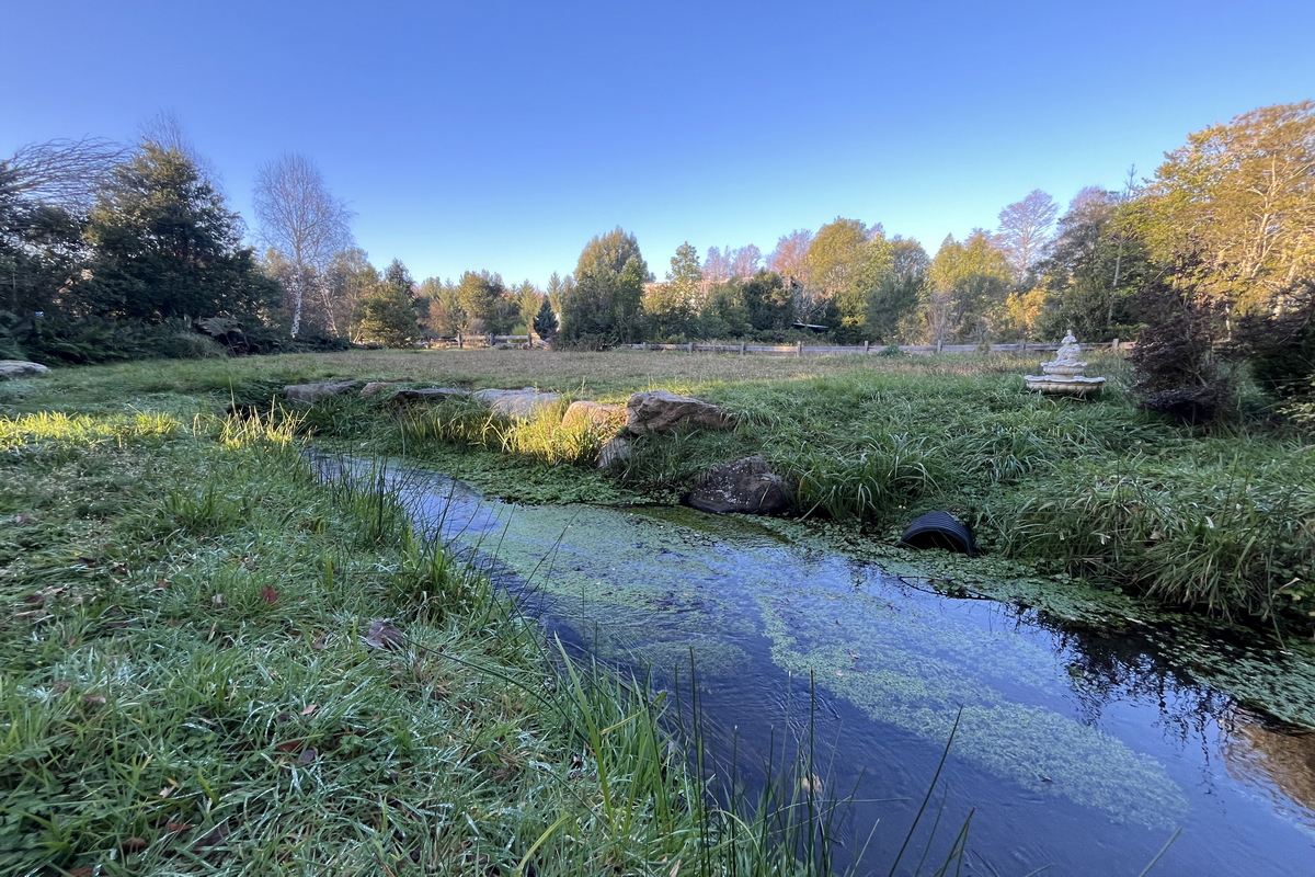 Casa Molco Pucón La Araucanía