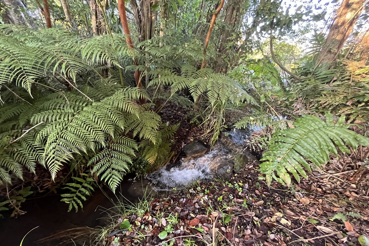 Casa Molco Pucón La Araucanía