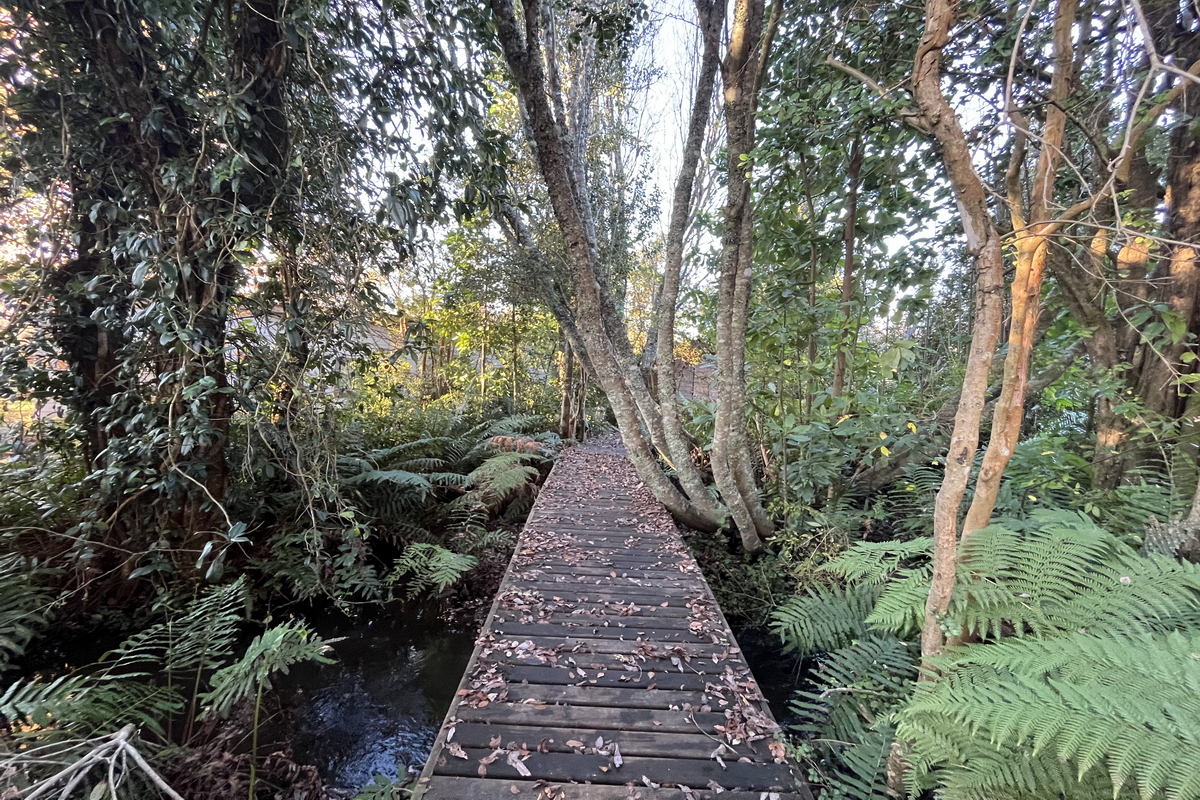 Casa Molco Pucón La Araucanía