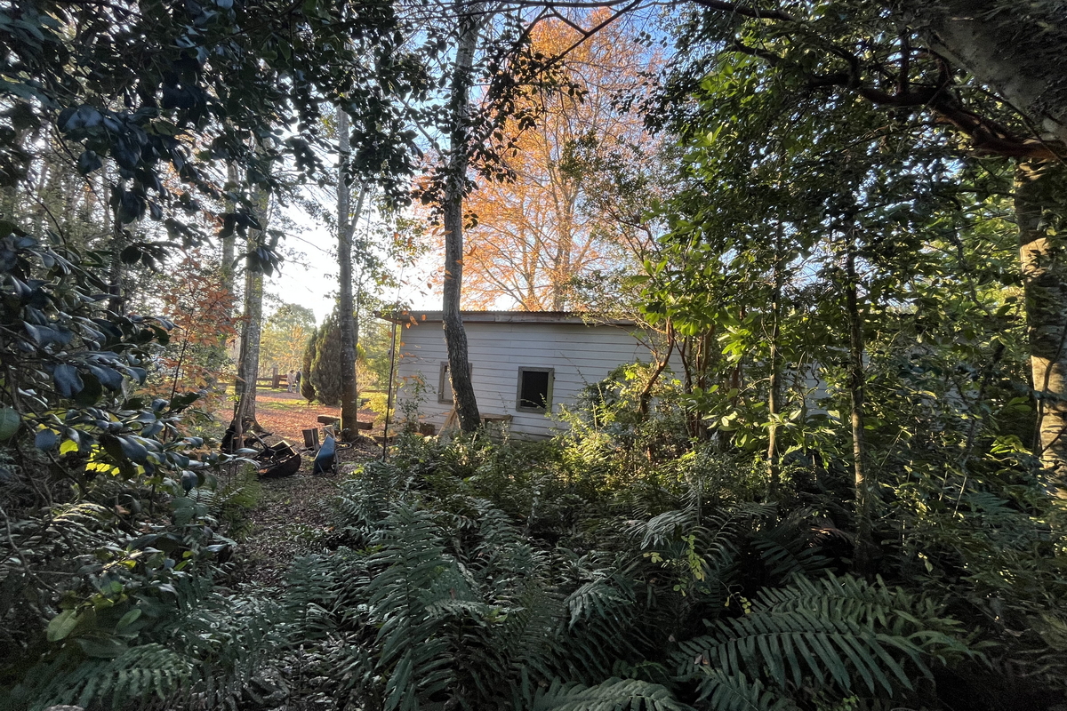 Casa Molco Pucón La Araucanía