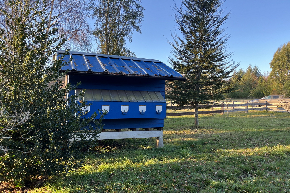 Casa Molco Pucón La Araucanía