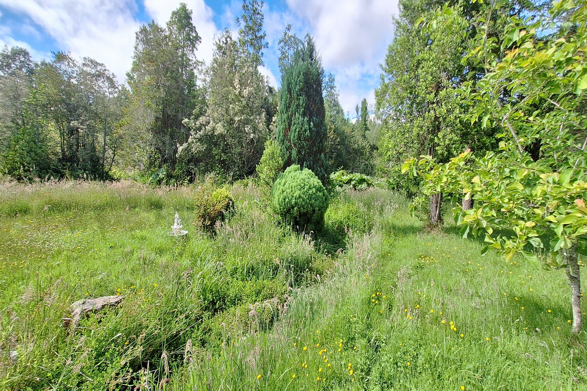 Chile Modern house Pucon Molco