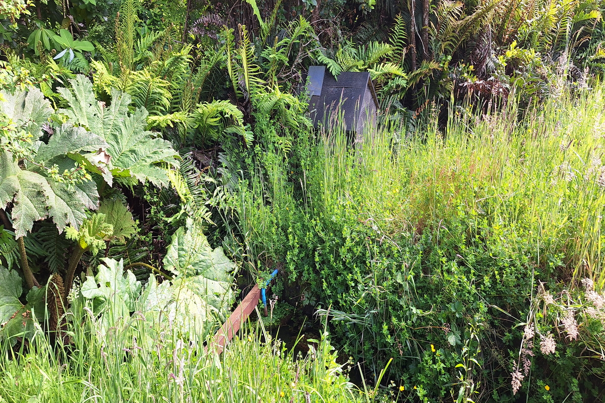 Chile Modern house Pucon Molco